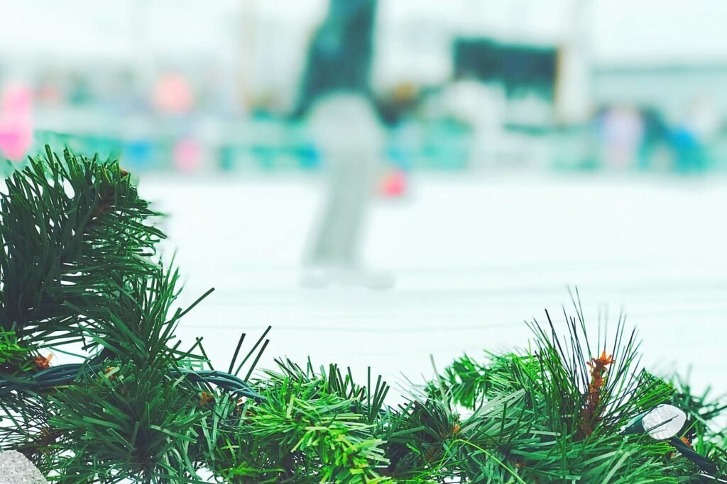 Schaatsen in Alkmaar, de ijsbaan en het natuurijs
