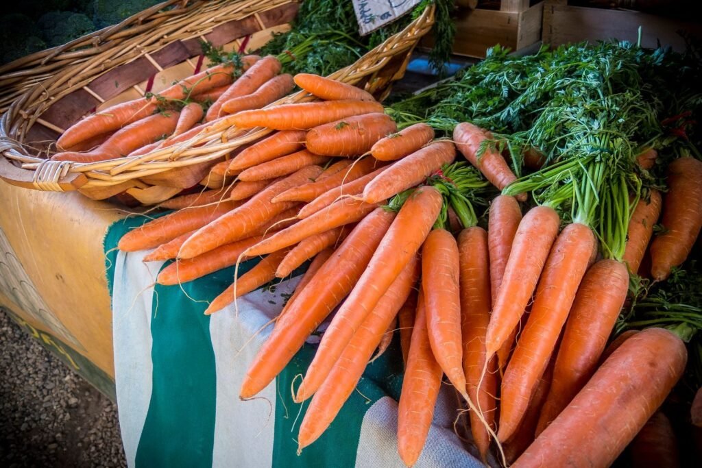 Streekproducten uit Noord-Holland, wat de regio maakt