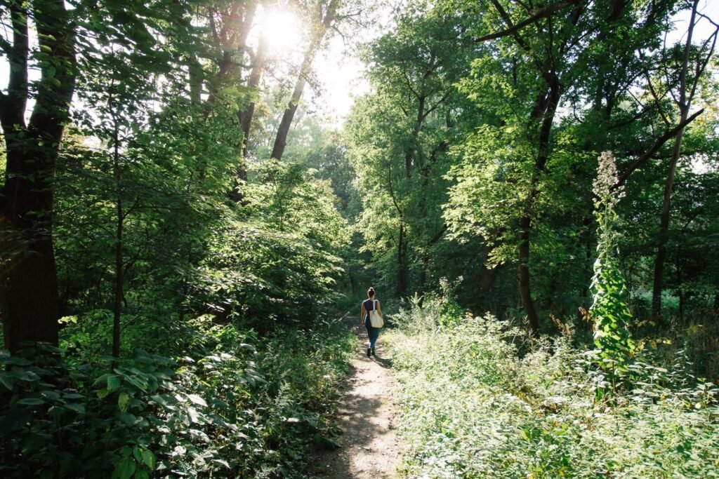 Wandelen in het buitengebied van Alkmaar